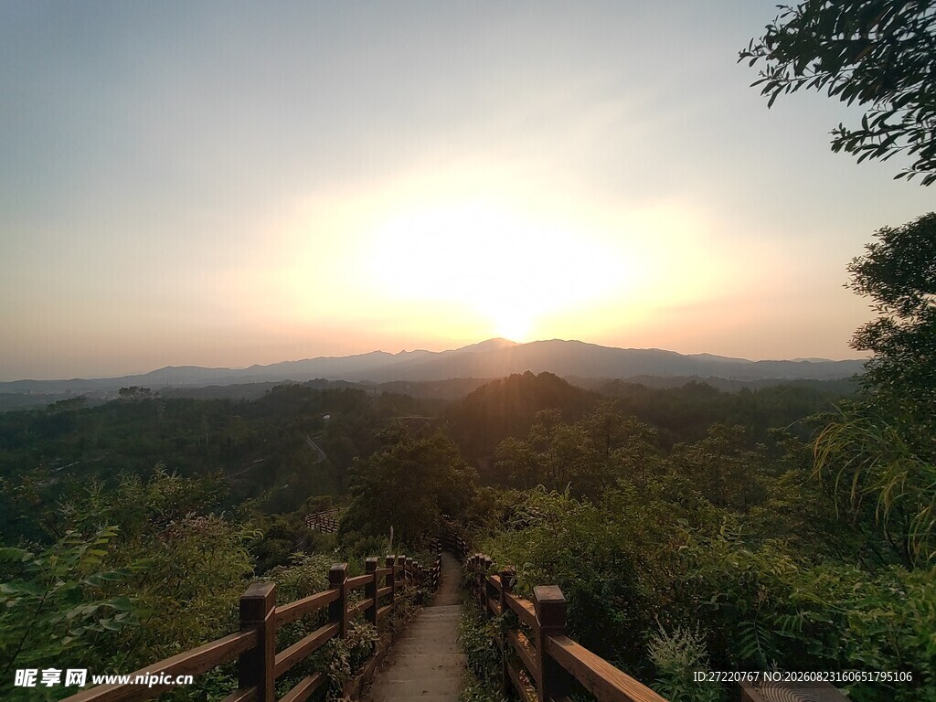 夕阳下的林间木栈道