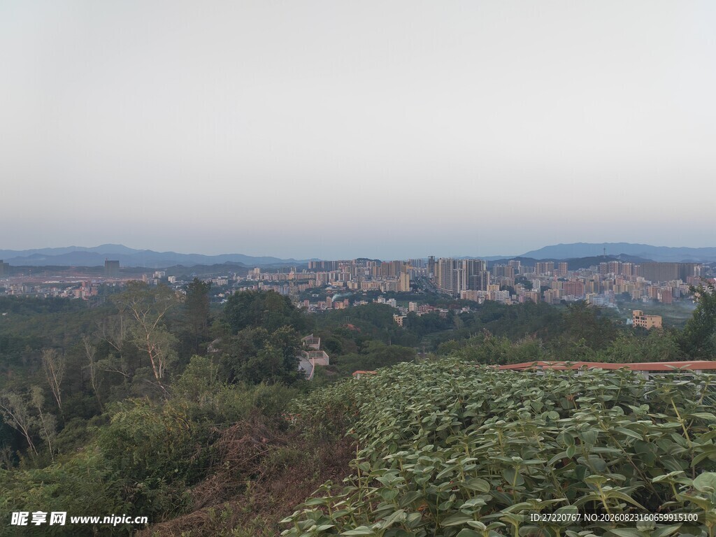 城郊风景 绿植与建筑远景