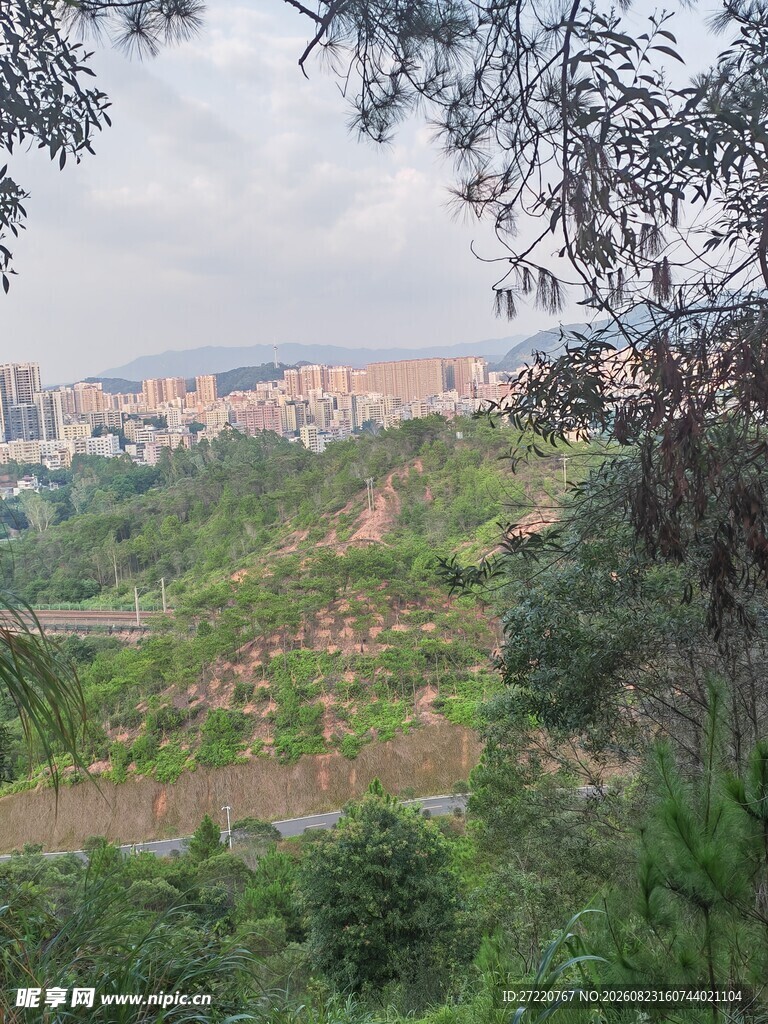 山坡上的城市景观