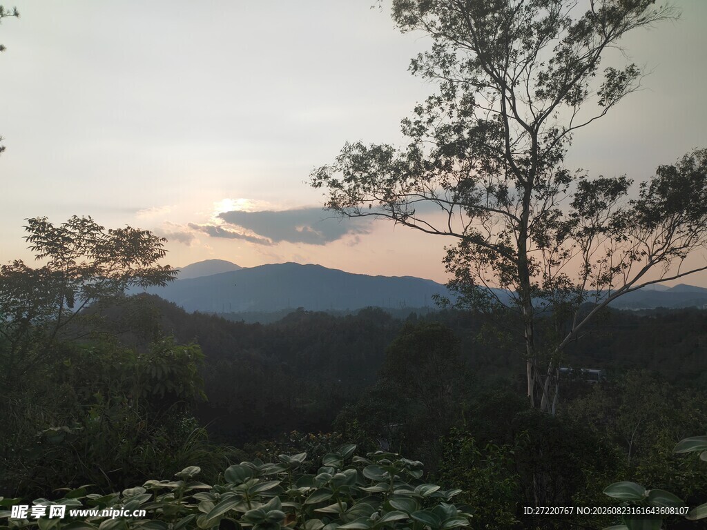 黄昏山林景色
