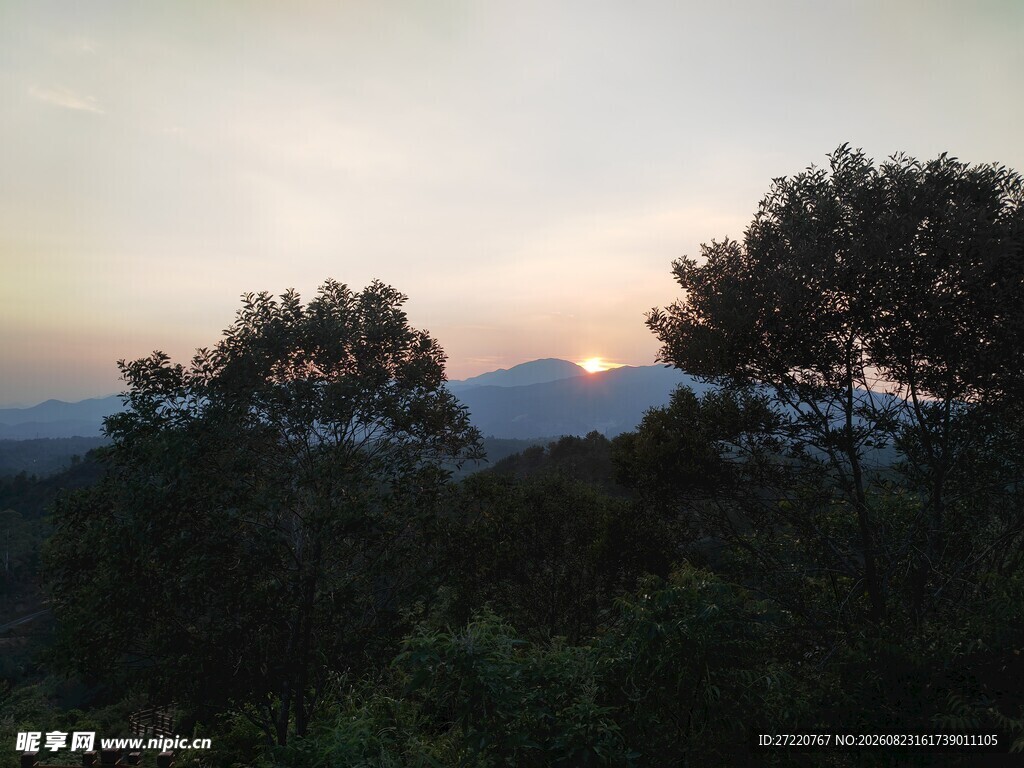 山林暮色 夕阳隐于树梢