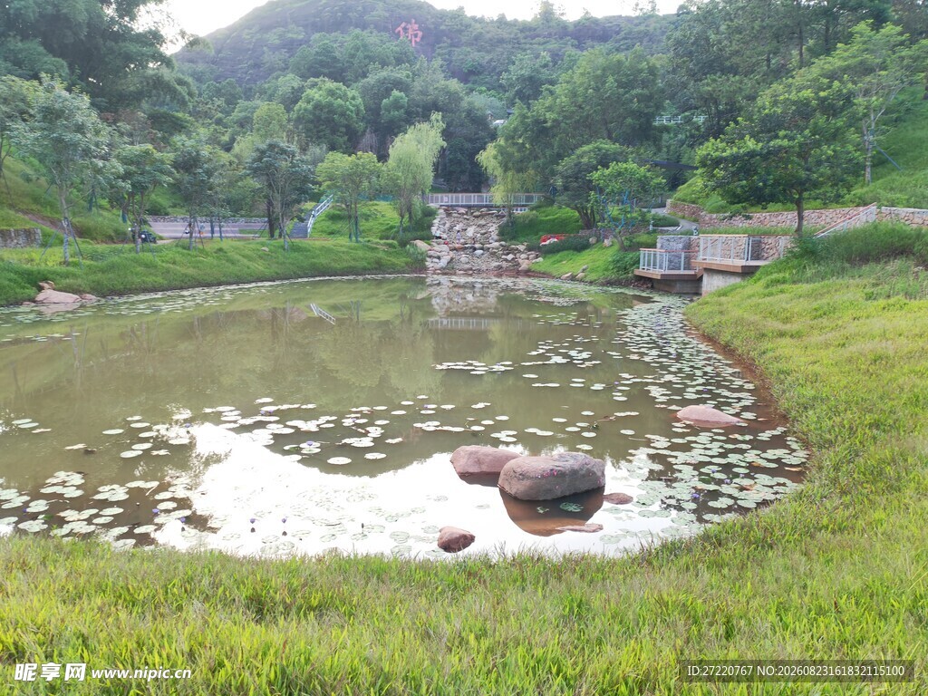 宁静湖畔绿意环绕的景致