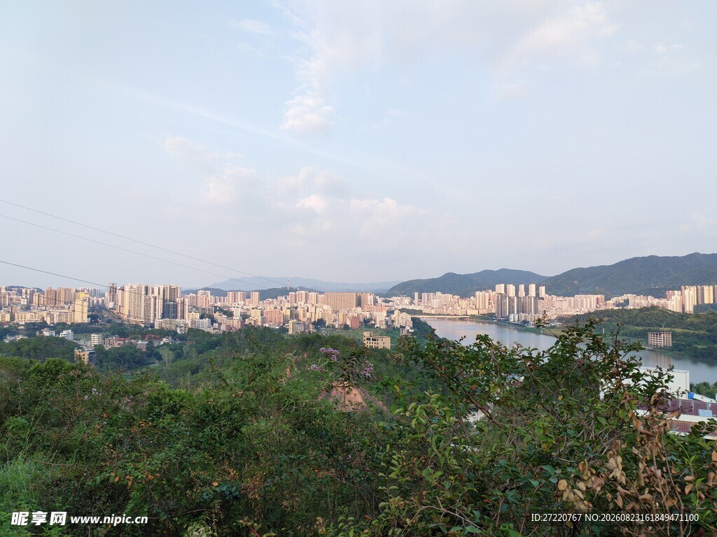 城市远景与葱郁植被景观
