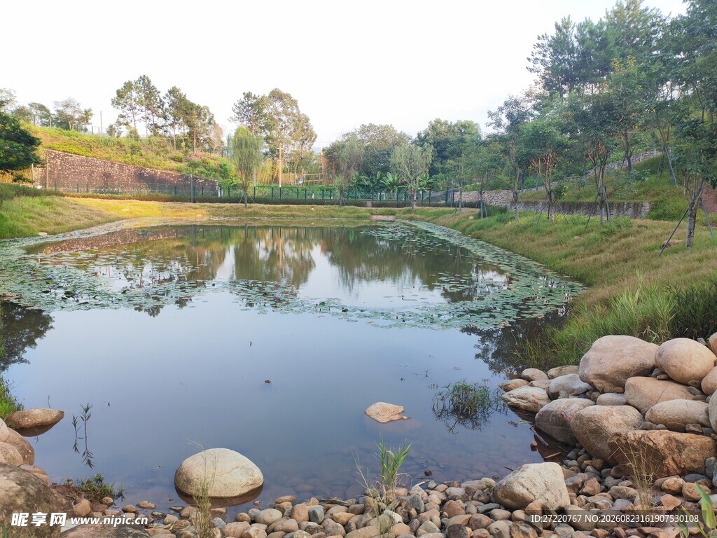 宁静湖边风景