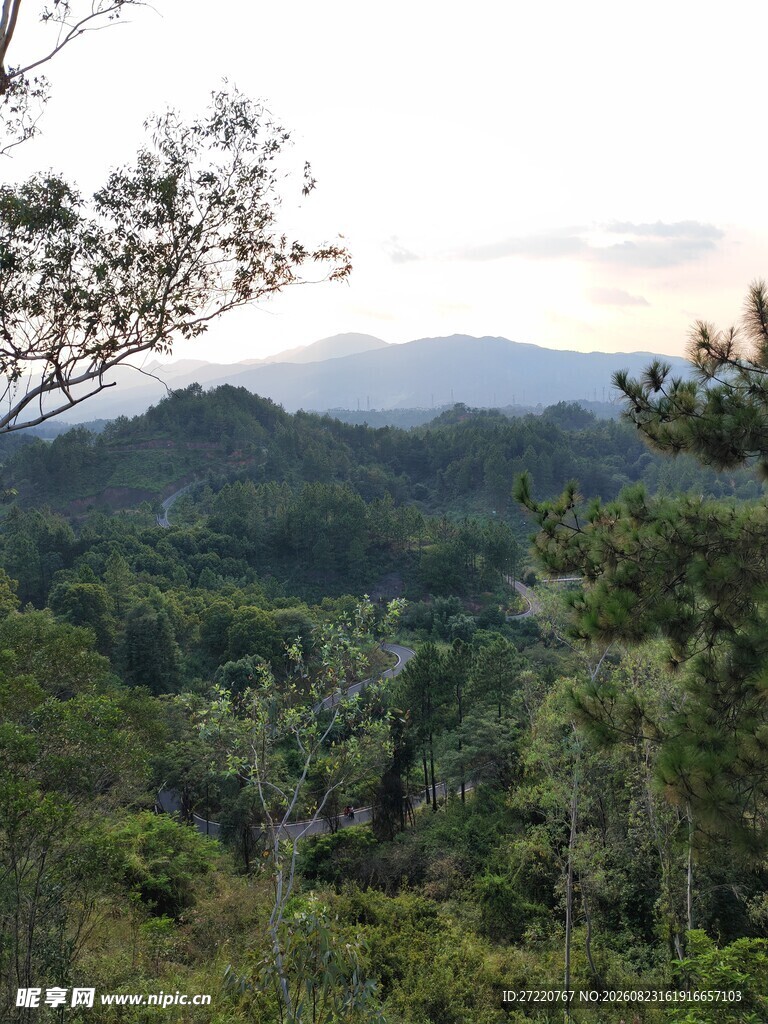 山林葱郁的秀丽自然风光