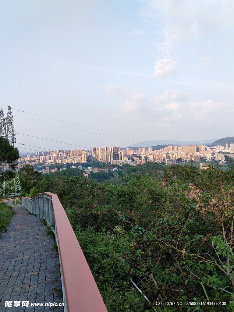 城市边缘的绿植小径