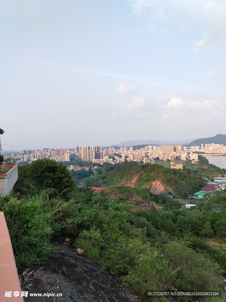俯瞰城市与绿植景观