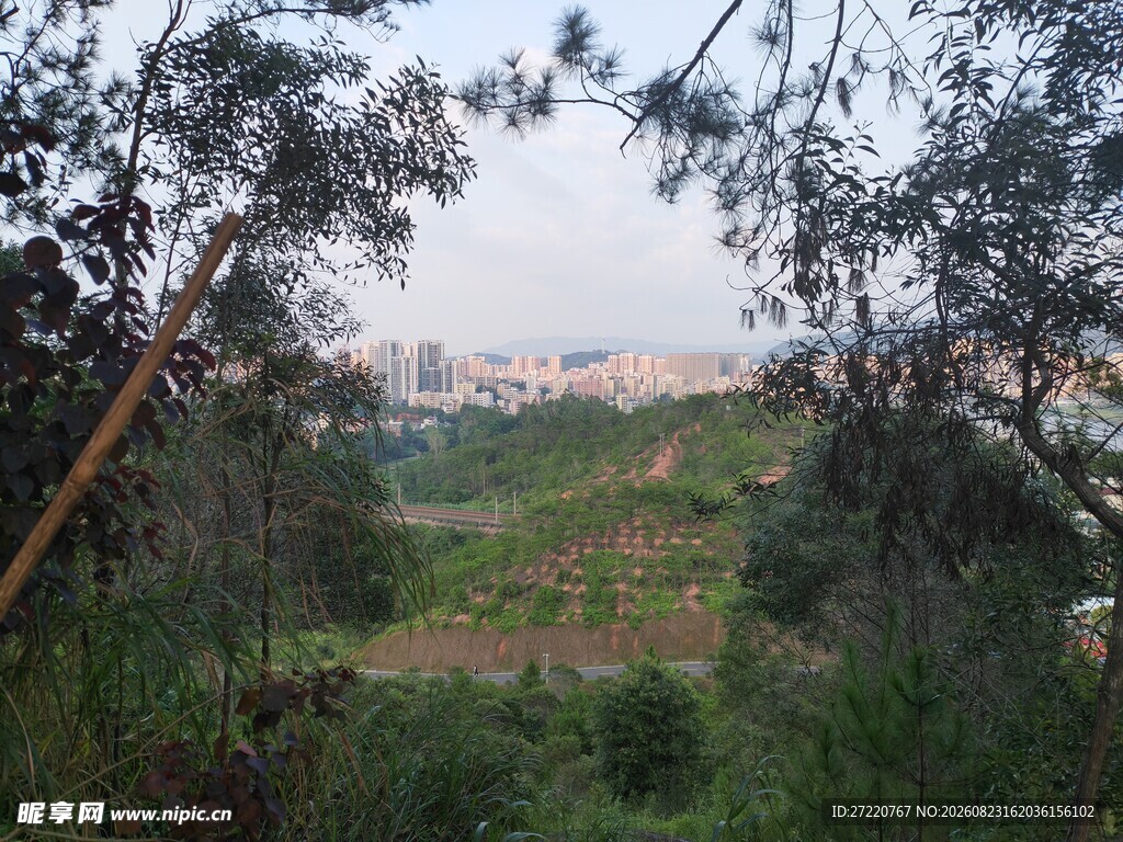 山林间的开阔景致