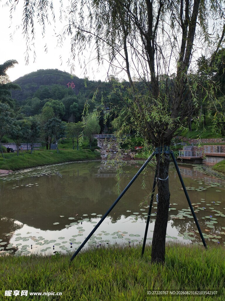 河畔自然景致