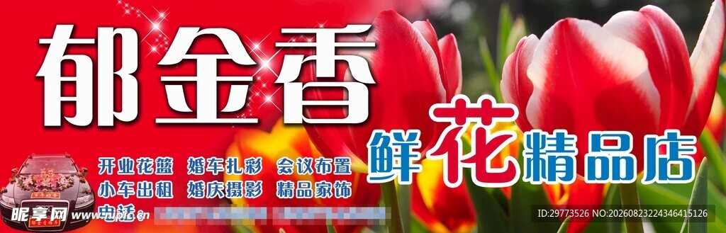 郁金香鲜花精选图片
