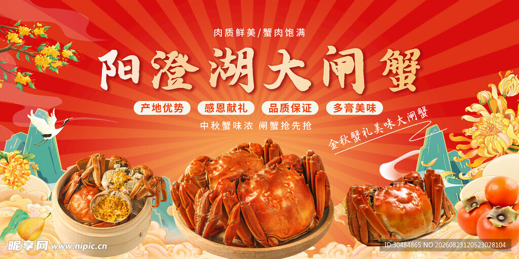 阳澄湖大闸蟹