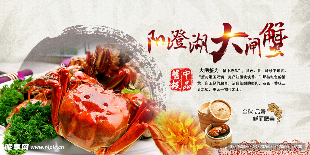 阳澄湖大闸蟹