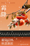 霜降节气传统活动海报