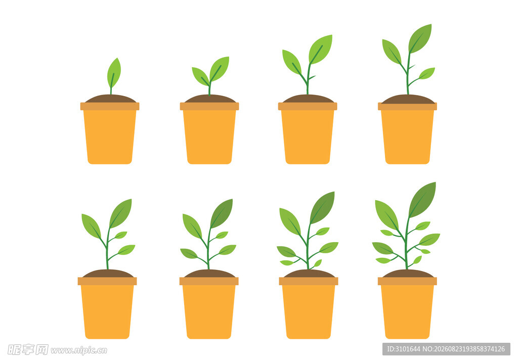 植物幼苗盆栽