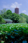 重庆碧津公园