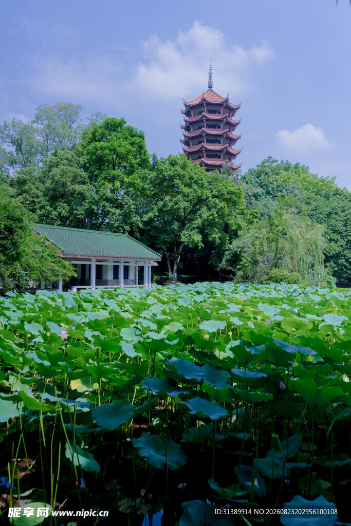 重庆碧津公园
