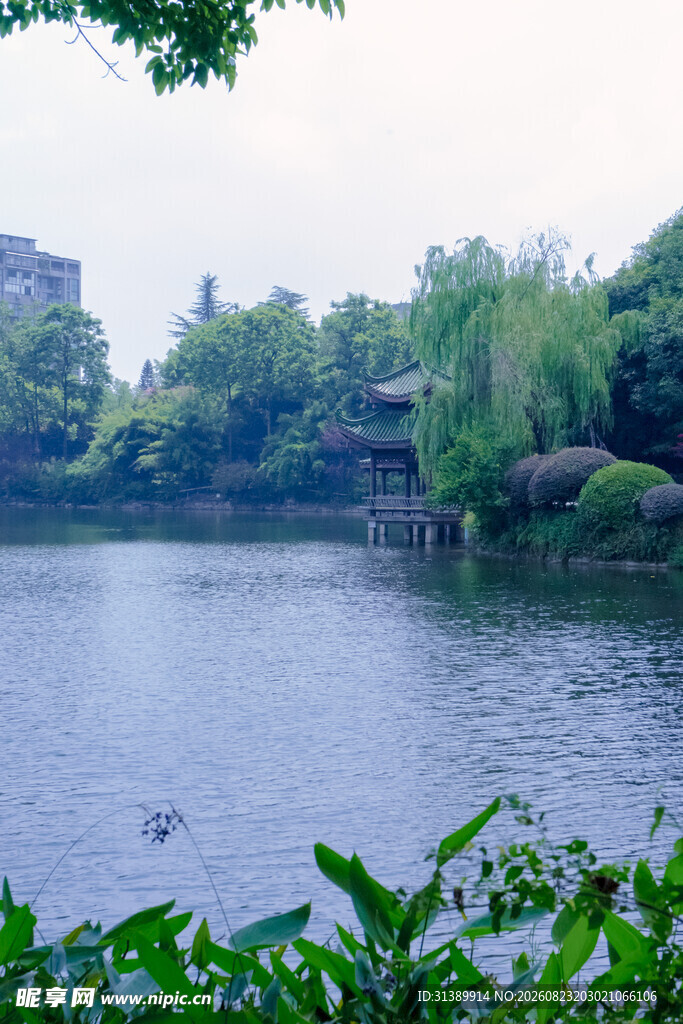 公园