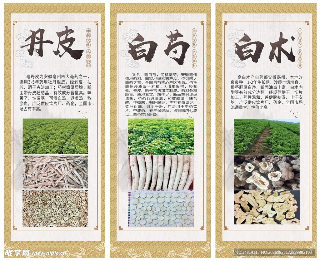 中药材海报