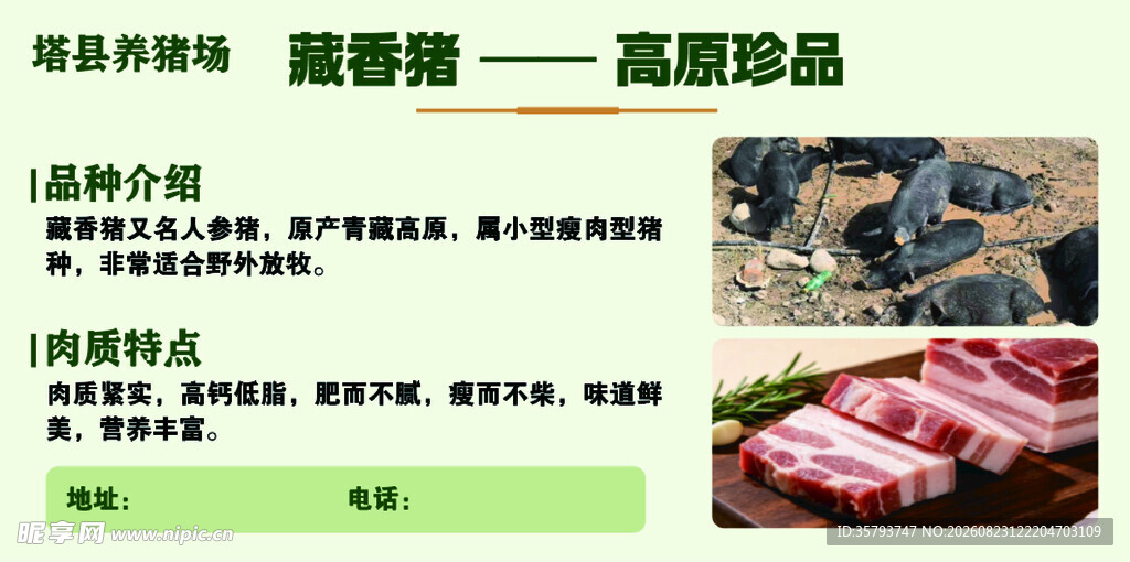 养猪海报 高端珍品肉类食材展示