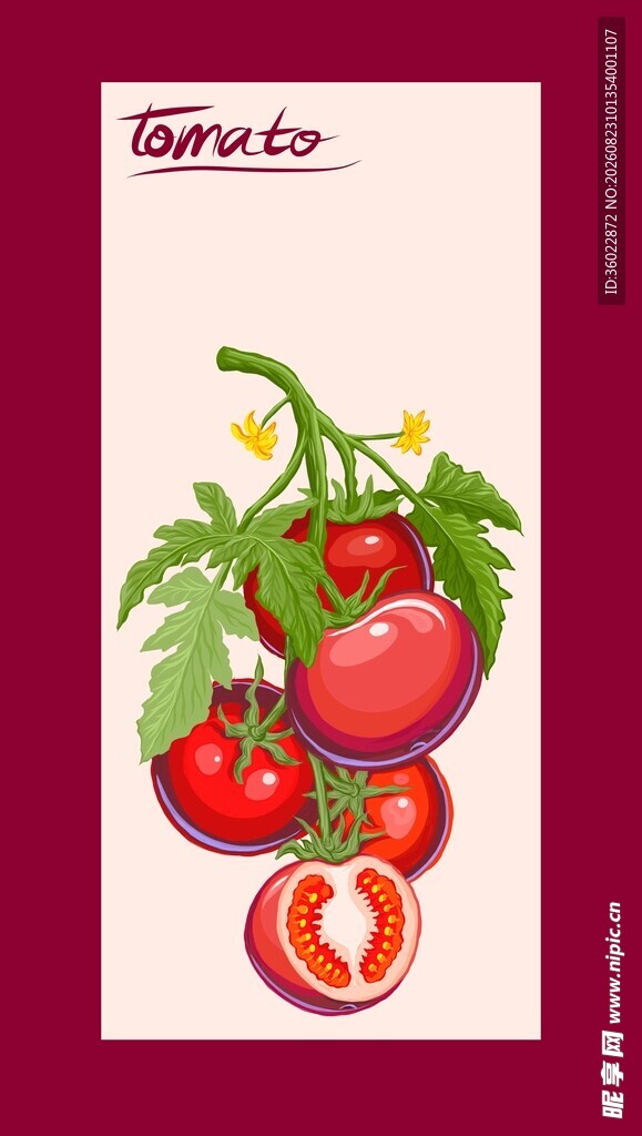 番茄手绘插画