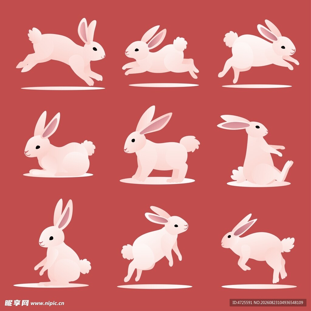 卡通白兔合集