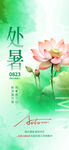 处暑时节荷花绽放