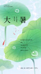 大暑时节荷叶与游鱼画面