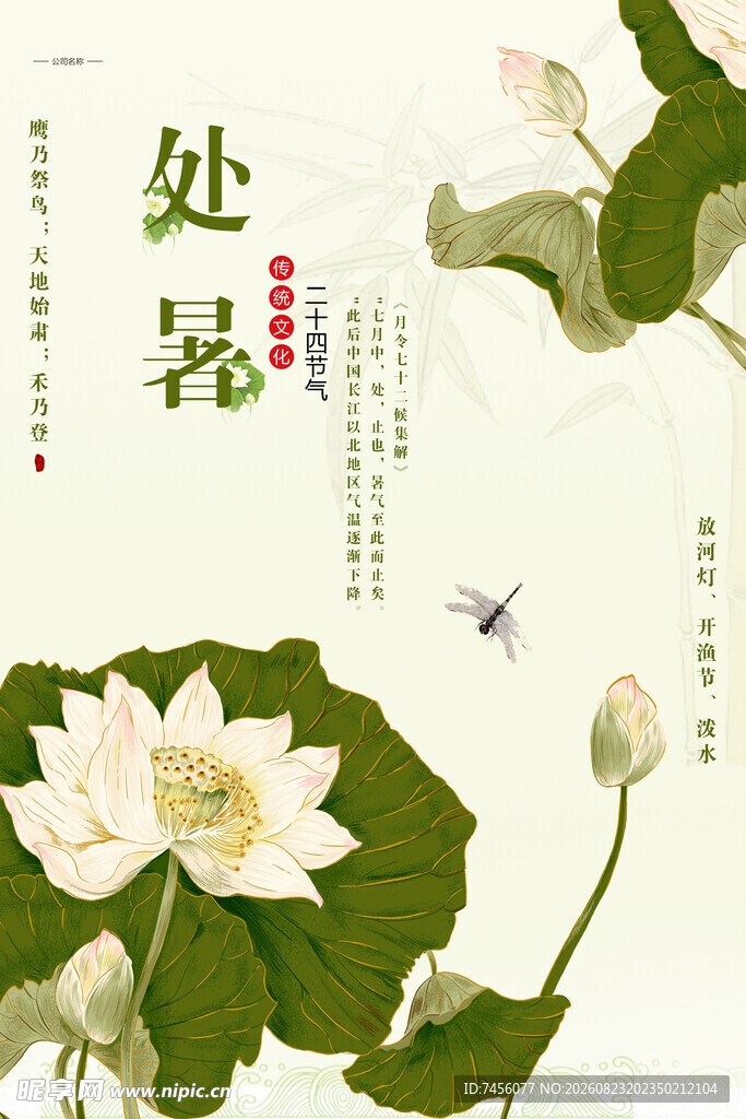 处暑时节荷花绽放