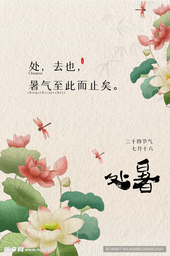 夏日荷花诗意画面