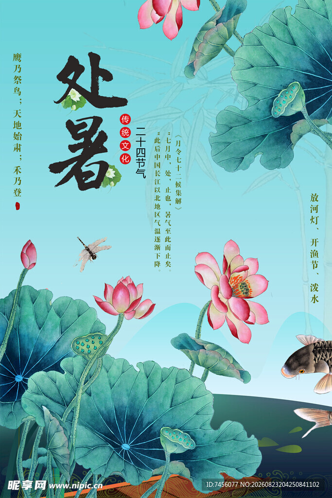 处暑时节荷花绽放美景