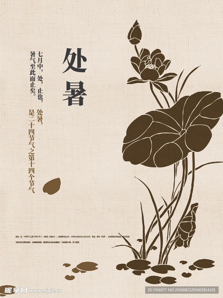 处暑时节荷花插画