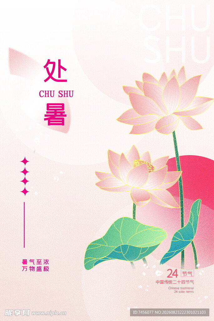 处暑时节的美丽荷花图