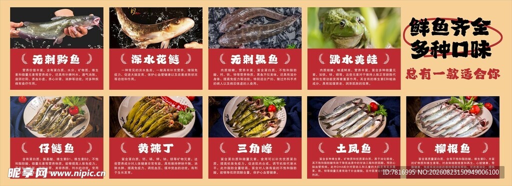 日式美食精选套餐展示