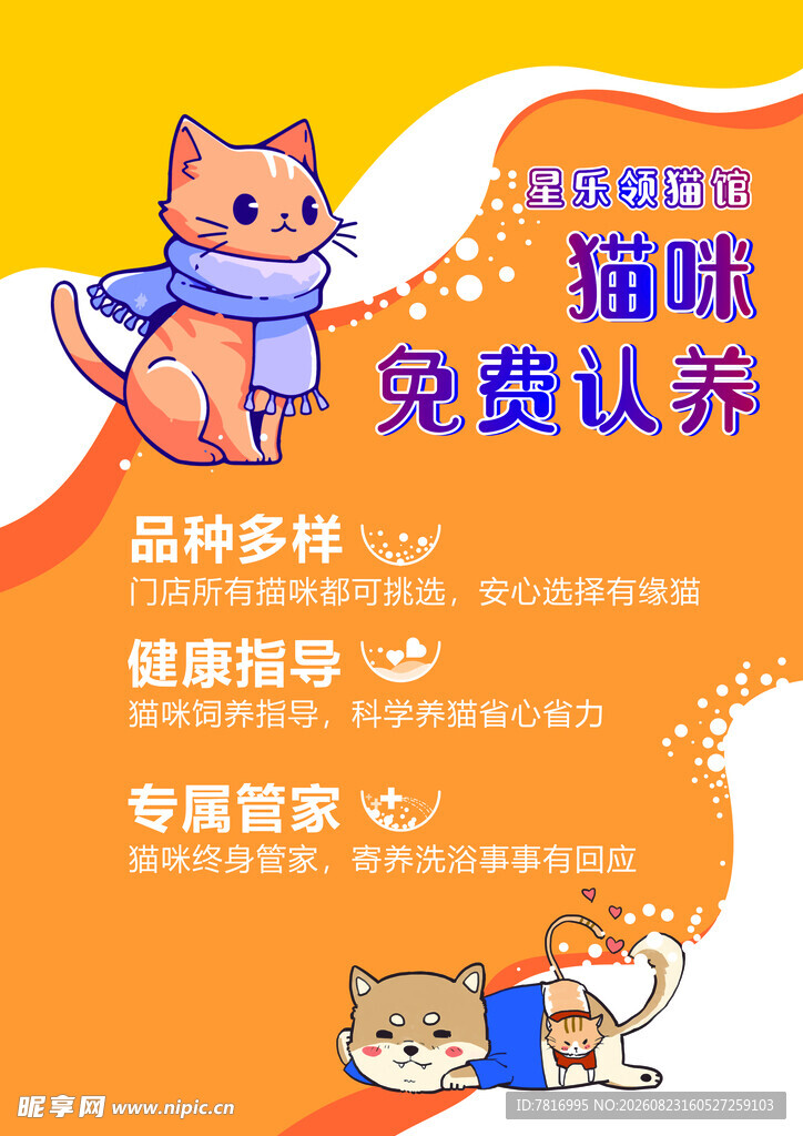 猫咪免费认养活动宣传