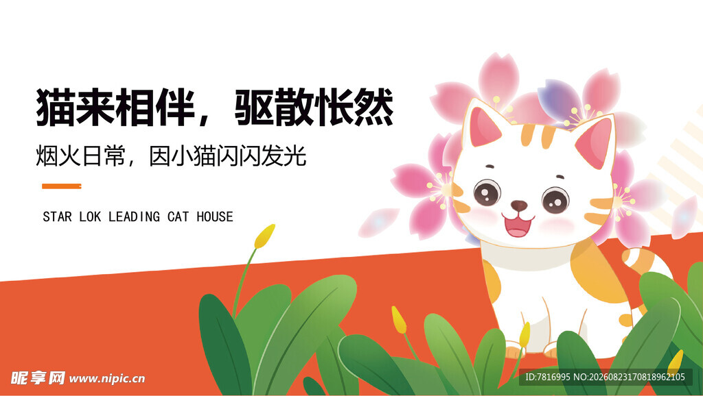 萌猫相伴开启愉悦时光