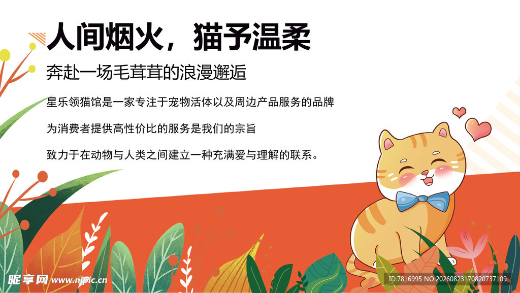 萌猫插画展现人间烟火气