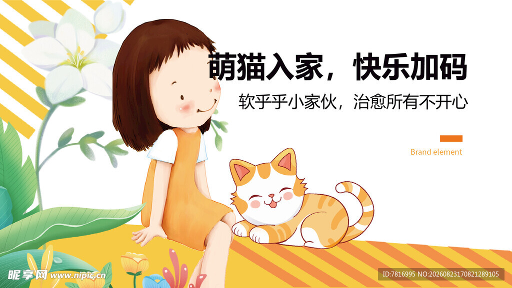 萌猫入户开启快乐时光