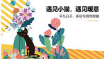 遇见小猫邂逅惬意时光