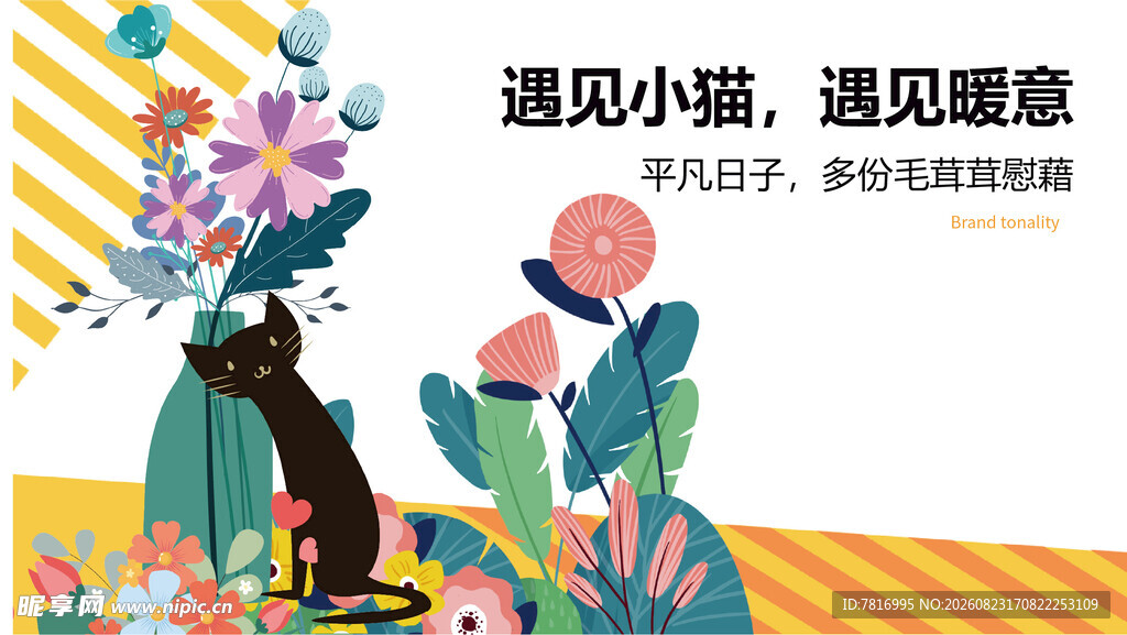 遇见小猫邂逅惬意时光