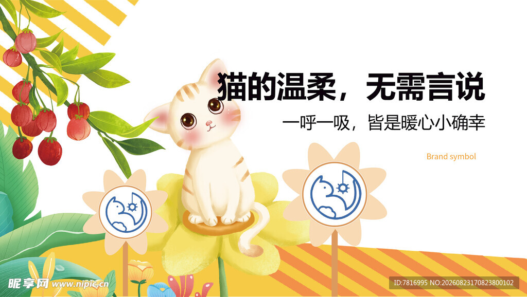 萌趣小猫传递温暖治愈瞬间