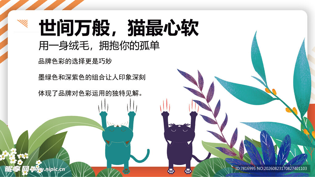 世间万般猫满心欢