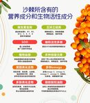 沙棘成分介绍