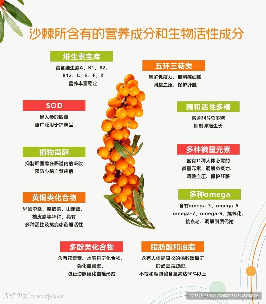沙棘综合营养及生理活性简介