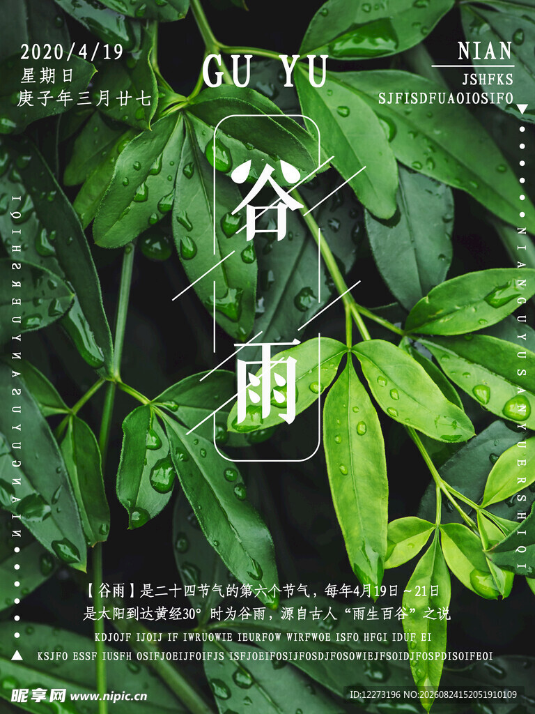 谷雨时节绿叶清新画面
