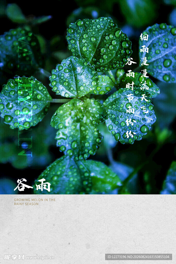 谷雨海报