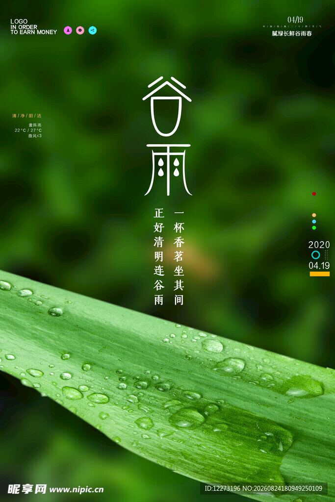 谷雨时节绿叶露珠美景