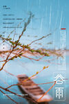 谷雨海报