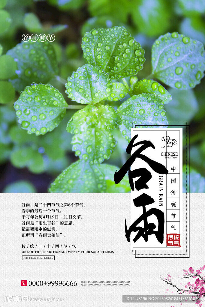 谷雨时节清新绿植景象