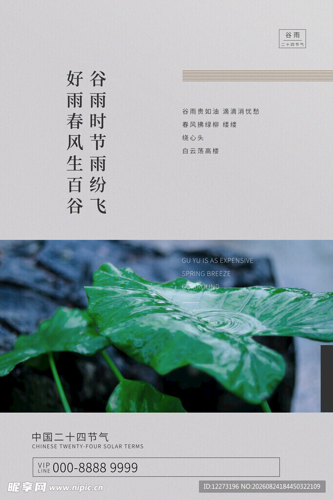 谷雨海报