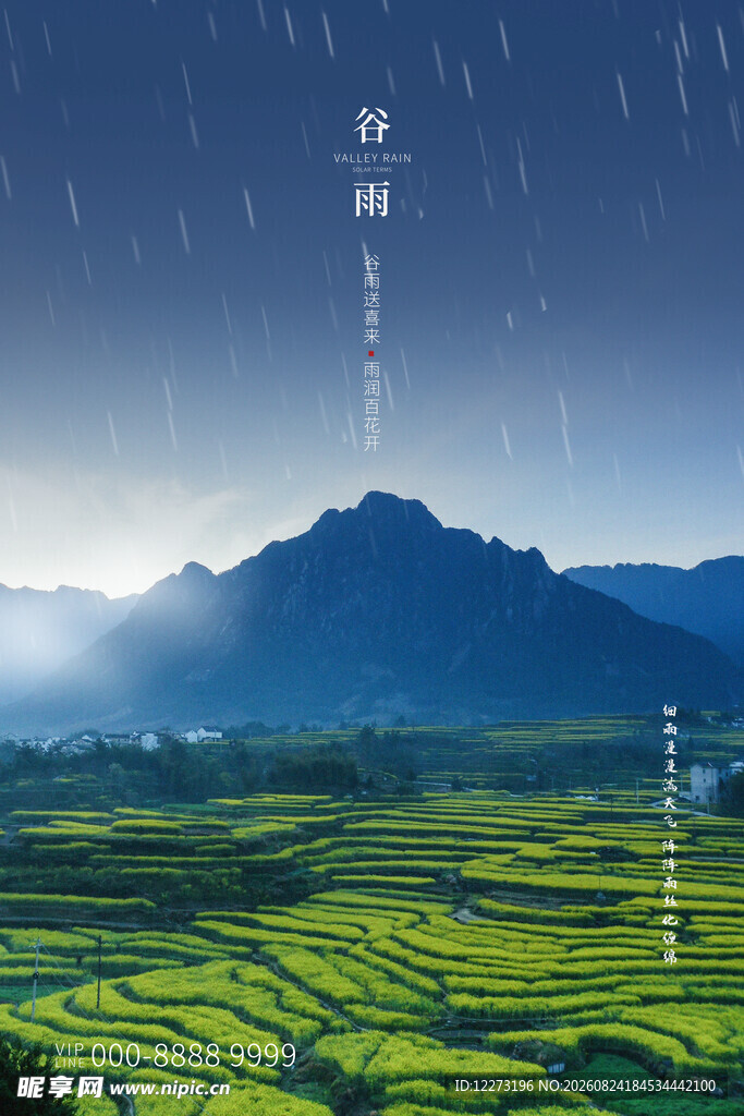 谷雨海报